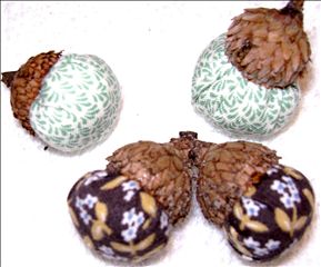 acorns1